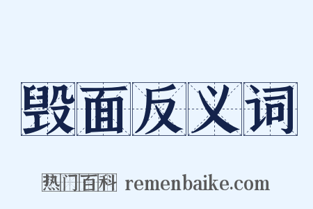 毁面反义词是什么意思的图片